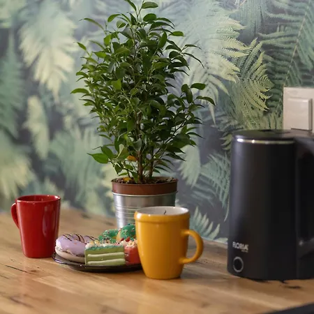 Turquoise Blue Bialoleka By Renters وارسو